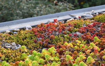 the cost of Benhall Street green roof installation