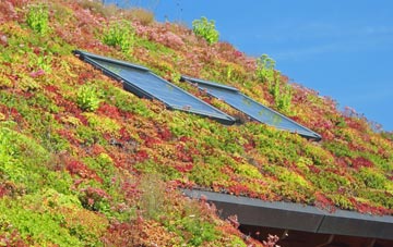 Benhall Street living roof systems